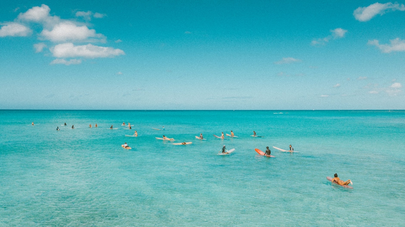 people in beach